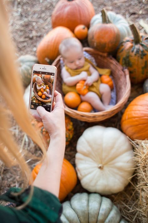 Thanksgiving One Year Old Photoshoot, 4 Month Old Pumpkin Patch Pictures, September Infant Photoshoot, Pumpkin Baby Pictures Photo Shoot, 1 Month Old Fall Baby Pictures, Infant Fall Photos, Fall 3 Month Baby Pictures, Baby Autumn Photoshoot, 2 Month Fall Baby Pictures