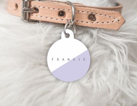 Tag your Bestie with a personalised Pet ID Tag Cat Id, Cat Id Tags, Cat Tags, Dog Valentines, Metal Tags, Id Tags, Dog Collars & Leashes, Luxury Dog, Pink Dog