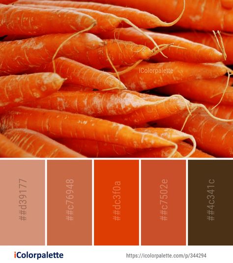 Color Palette ideas #icolorpalette #colors #inspiration #graphics #design #inspiration #beautiful #colorpalette #palettes #idea #color #colorful #colorscheme #colorinspiration #colorcombinations #colorcombos Image Orange, Color Thesaurus, Carrot Vegetable, Color Palette Ideas, Colors Inspiration, Orange Color Palettes, Color Palette Challenge, Red Colour Palette, Palette Ideas