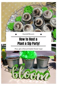 Have you ever been to a wine & paint party? Or, paint & sip as it's sometimes called? This is a fun play on that party idea. Sips & Succulents is the name of this plant and sip party theme and you can easily put it together on your own with the tips and tricks in the blog post, plus a few tutorials including how to plant and party food! Grab your friends, some succulents and host a cactus theme party for everyone! #plantandsip #sipsandsucculents #diycactus Plant And Sip Party, Friend Events, Wine Paint Party, Staff Ideas, Wine Gifts Diy, Hosting Events, Wine And Paint Night, Party Snacks Easy, Spring Events