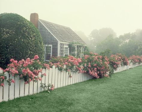 Cape Cod Landscaping, Cape Cod House Exterior, Cape Cod Cottage, Cape Cod Style House, Cape Cod Style, Cape House, Cape Cod House, White Picket Fence, Old Farmhouse