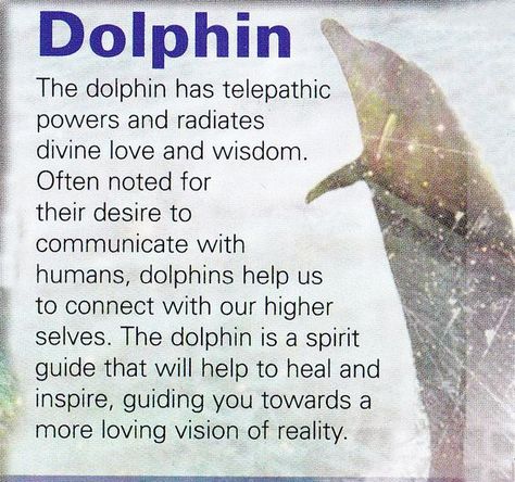 Dolphin Dream Meaning, Animal Totem Spirit Guides, Animal Spirit Guide, Animal Meanings, Spirit Animal Totem, Animal Medicine, Spiritual Animal, Animal Spirit Guides, Animal Guides