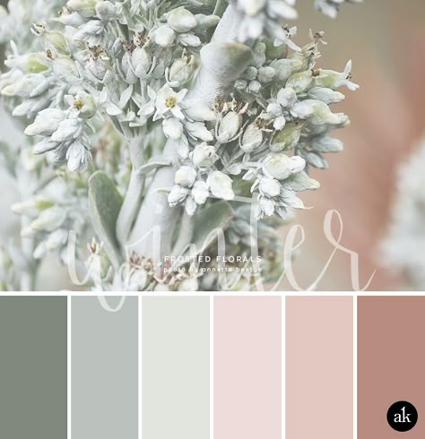 Happy New Year! Have you set any goals for 2016 yet? While you think about   that, I'll share this week's winter color inspiration: pastel greens with   hints of gray mixed with dusty rose. Perfect for a January wedding, right?      SAGE #80887D / GREEN OR GRAY? #BAC0BC / LIGHT MINT #E1E4DD LIGHT RO Palette Winter, Couleur Rose Pastel, Palettes Color, Winter Color Palette, Grey Color Palette, Green Colour Palette, Dusty Rose Color, Sage Color, Color Palette Design