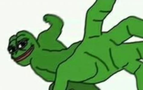 Frog Meme, Funny Looking Cats, Cute Cat Memes, Funny Yugioh Cards, Filipino Funny, Crazy Funny Pictures, In Memes, Snapchat Funny, Silly Faces