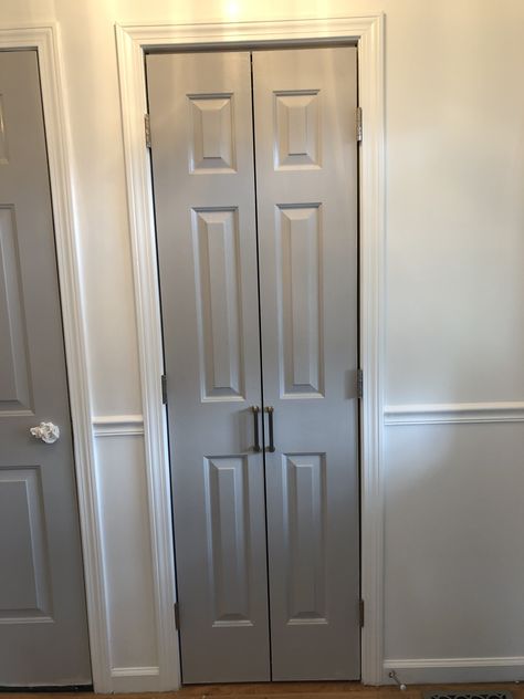 Small French Doors Closet, Closet Door Ideas French Doors, Small Bifold Closet Doors, Narrow French Doors Closet, Small Closet Door Ideas Hallways, Small Closet French Doors, Linen Closet Doors Bathroom, Small Hallway Closet Door Ideas, Living Room Closet Door Ideas