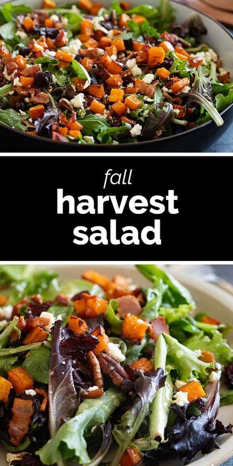 Filled with the flavors of fall, this Fall Harvest Salad is the perfect side dish for holidays or as a part of any dinner. Made with butternut squash, bacon, pecans, and dried cranberries, this is a salad you will want to make over and over again. Harvest Fall Salad, Salad Autumn, Popular Salads, Simple Salad Recipes, Savory Potato Salad, Harvest Salad Recipes, Butternut Squash Bacon, Cranberry Spinach Salad, Fall Harvest Salad