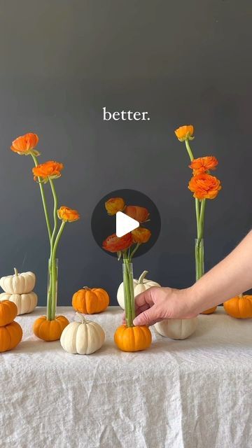 Tableshoppe Co. on Instagram: "These mini pumpkins had no idea they’d be working overtime when I bought them 😂 Save for inspo!

From taper holders to mini flower arrangements, I’m putting these pumpkins to work! I used my base vases from @shopbasevase to add some orange ranunculus to my mini pumpkins. 

Just cut out the top of the pumpkin and place the base vase. Fill it up with water and add your favorite stems. It was so easy and makes such a statement. Since you are carving the pumpkins they will start to go bad at some point so keep that in mind if you want to do this for a dinner party or event. These are on day 4 of being carved. 

Let me know what you think 🎃 

#pumpkinseason #pumpkin #floraldesign #floralarrangement #tablescape #tablescapes #tablescapestyling #fallflowers #autumn Pumpkin Flower Arrangements, Mini Flower Arrangements, Flower Pumpkins, Orange Ranunculus, Working Overtime, Pumpkin Flower, Taper Holders, Pumpkin Seasoning, Mini Pumpkins