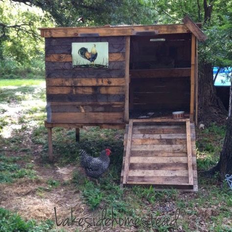 Lakeside Homestead : DIY Chicken Coop from pallets and scrapes Chicken Coop From Pallets, Coop From Pallets, Chicken Coop Designs Diy, Cheap Chicken Coops, Chicken Coop Pallets, Urban Chicken Farming, Small Chicken Coops, Easy Chicken Coop, Backyard Chicken Coop Plans