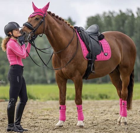 Equine Outfits, Barbie Photoshoot, Horsey Life, Flat Riding Boots, Pink Horse, Horse Gear, English Riding, Dressage Horses, Majestic Horse