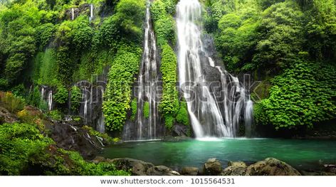 Jungle Waterfall Cascade Tropical Rainforest Rock Stock Photo (Edit Now) 1015564531 Jungle Waterfall, Bali Waterfalls, Bali Honeymoon, Jungle Mural, Jungle Tree, Forest Mural, Waterfall Wall, Beach Honeymoon, Most Beautiful Wallpaper