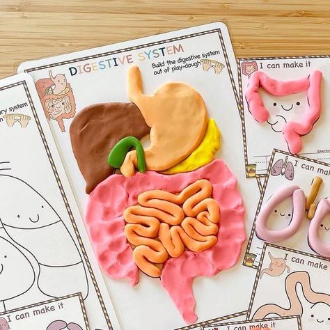 Play Dough Learning Activities, Human Anatomy Preschool Activities, My Favorite Things Activities Preschool, Human Body Playdough Mats, Children's Rights Art For Kids, Playdoh Activities For Kindergarten, Human Body Preschool Activities, Human Body Activities For Kids, Anatomy Activities