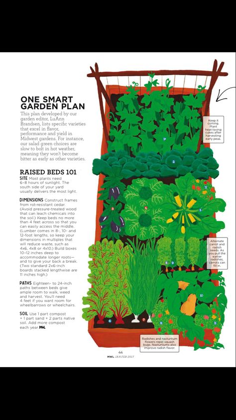 Garden plan Vegetable Garden Layout Design, Garden Notes, Garden Planning Layout, Keyhole Garden, Garden Companion Planting, Design Backyard, Garden Layout Vegetable, Small Vegetable Gardens, Florida Gardening