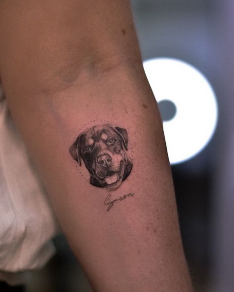 Dog Tattoo Rottweiler, Simple Rottweiler Tattoo, Realistic Pet Tattoos, Rotweiller Tattoo, Realism Dog Tattoo, Micro Dog Tattoo, Small Pet Portrait Tattoo, Rottie Tattoo, Small Dog Portrait Tattoo