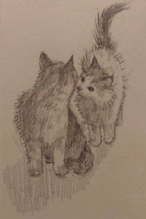 Drawing Tutorial Cat, Cat Drawing Sketches, Cat Drawings Simple, Cat Drawing Ideas, Cat Drawing Tutorial, Drawing Realistic, Cat Images, Cat Drawings, Cats Drawing