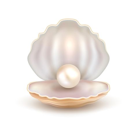 Premium Vector | Realistic illustration of open seashell with nacre beige pearls inside and around isolated on gray gradient background Pearl Logo Design, Gray Gradient Background, Jewelry Wallpaper, Seahorse Drawing, Grey Gradient Background, Name Design Art, Pearl Background, Baby Lulu, Seashell Design