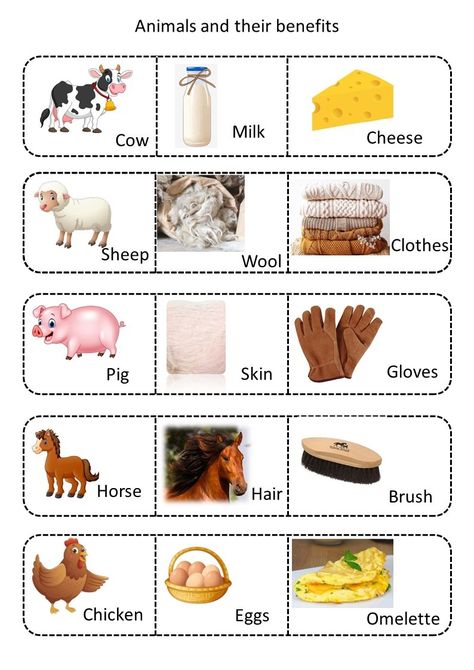 Animals with their benefits match Kinds Of Animals, Animals And Their Young Ones, Farm Animals And Their Homes, What Do Farm Animals Give Us, Young Ones Of Animals, What Do Animals Eat Worksheets, Farm And Wild Animals Worksheet, Uses Of Animals Worksheet, Kids Learning Activities Preschool