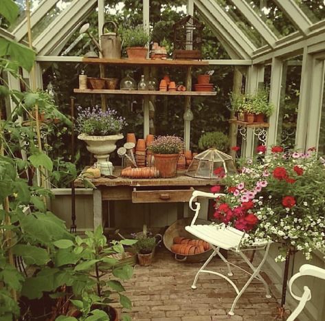 Garden Shed Interiors, Greenhouse Shed, Greenhouse Interiors, Home Greenhouse, Cottage Aesthetic, Backyard Greenhouse, Small Greenhouse, Rural Living, Greenhouse Kit