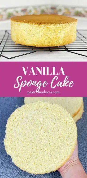 Vanilla Sponge Cake Recipe Sponge Layer Cake, Individual Trifle, Vanilla Sponge Cake Recipe, Pumpkin Shaped Cake, Cheese Burrito, Cake Summer, Sponge Recipe, Sponge Cake Recipe, Afternoon Tea Recipes