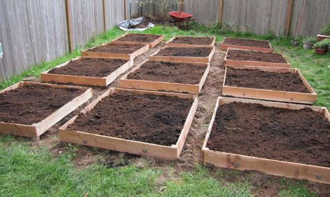 Short Raised Garden Bed, Shallow Raised Garden Beds, Filling Garden Beds, Epic Gardening, Sheet Mulching, Lasagna Gardening, Straw Bale Gardening, Vegetable Garden Beds, Dig Gardens