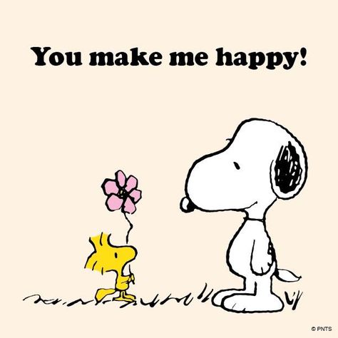 Peanuts - You Make Me Happy! Woodstock Snoopy, Snoopy Images, Peanuts Cartoon, Snoopy Quotes, Peanuts Characters, Snoopy Pictures, Snoop Dog, Snoopy Love, Bd Comics