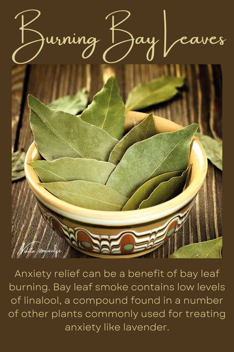 Bay Leaf Burning, Herbs In Witchcraft, Bay Leaf Benefits, Burn Bay Leaves, Burning Bay Leaves, Bay Leaf, Bay Leaves, Health Habits, Alternative Health