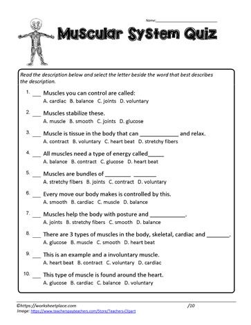 Muscular System Worksheet, Muscular System Project, Muscles Worksheet, Muscular System For Kids, Muscular System Activities, Lpn School, I Worksheet, Skeletal System Worksheet, Muscular System Anatomy