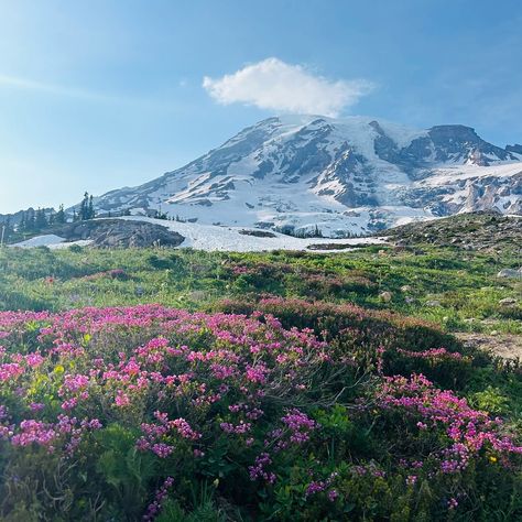 Mount Rainier 🗻♥️ WA📍 #mountrainier #washington #travel #nature Mount Rainier Aesthetic, Mt Reiner, Mt Rainer, Washington Travel, Mount Rainier National Park, Rainier National Park, Travel Nature, Aesthetic Iphone, Mount Rainier