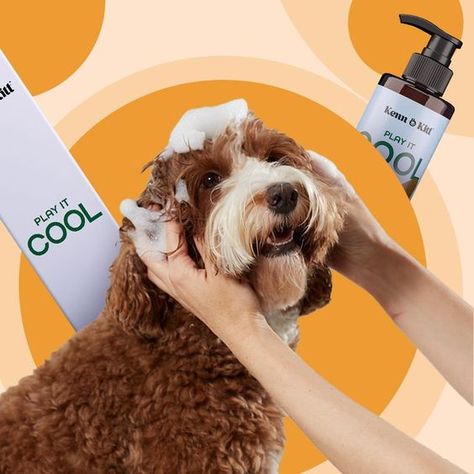 Essential Pet Products Dog Shampoo For Itchy Skin, Shampoo Advertising, Pet Advertising, Dog Marketing, Puppy Shampoo, Socializing Dogs, Dog Behaviorist, Dog Conditioner, Pet Blog