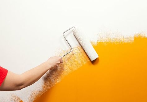 Water Based Primer, Wooden Partitions, Best Primer, Oil Based Stain, Bob Vila, Yellow Paint, Peeling Paint, Paint Primer, Wood Cut