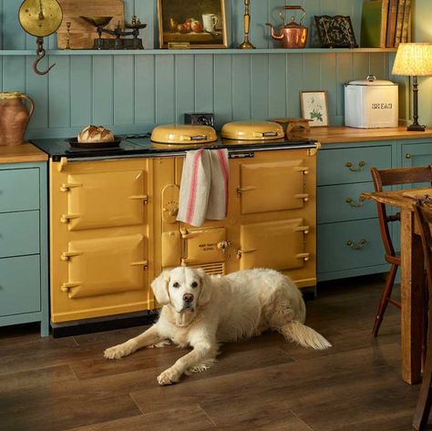 Yellow Aga range cooker Electric Aga, Aga Range Cooker, Iron Tablets, Aga Range, Aga Cooker, Range Cookers, Kitchen Plan, Range Cooker, Kitchen Range