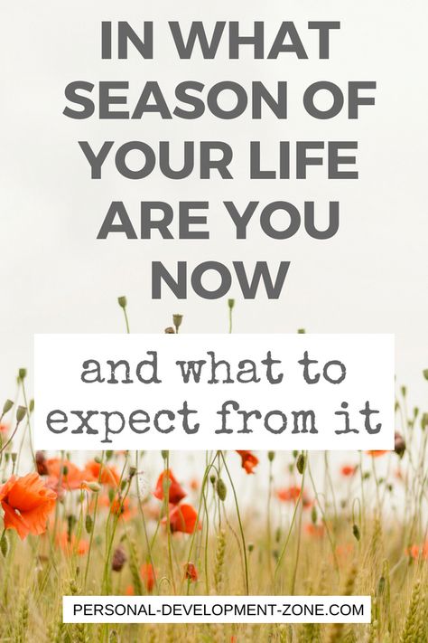 In what phase of your life are you now? The powerful model of Hudson called "The Seasons"  will help you discover in what chapter of your life you're going through right now and what to expect from it... Seasons of life | Personal development | self development | self growth | #personaldevelopment #selfgrowth #selflove #selfdiscovery Life Seasons, New Seasons Of Life Quotes, People Are In Your Life For Seasons, Season Of Life, Season Of Life Quotes, Stages Of Life, People Come Into Your Life For Seasons, New Phase Of Life, Changing Seasons Of Life Quotes