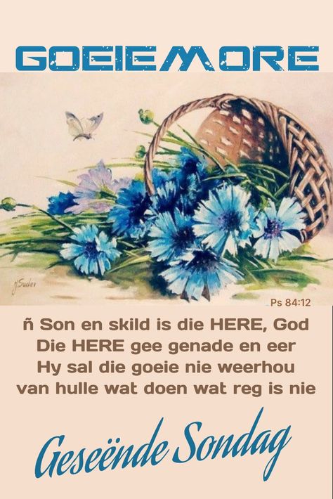 Sondag Boodskappies, Christelike Boodskappe, Mooi Prentjies, Afrikaans Quotes, Christian Quotes Prayer, Quotes Prayer, Day Wishes, Bible Stories, Morning Quotes