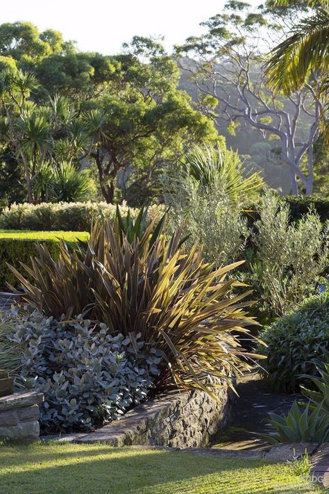 Peter Fudge, Mediterranean Landscape Design, Sustainable Garden Design, Bush Garden, The Hacienda, Australian Native Garden, Pinterest Garden, Australian Style, Mediterranean Landscaping