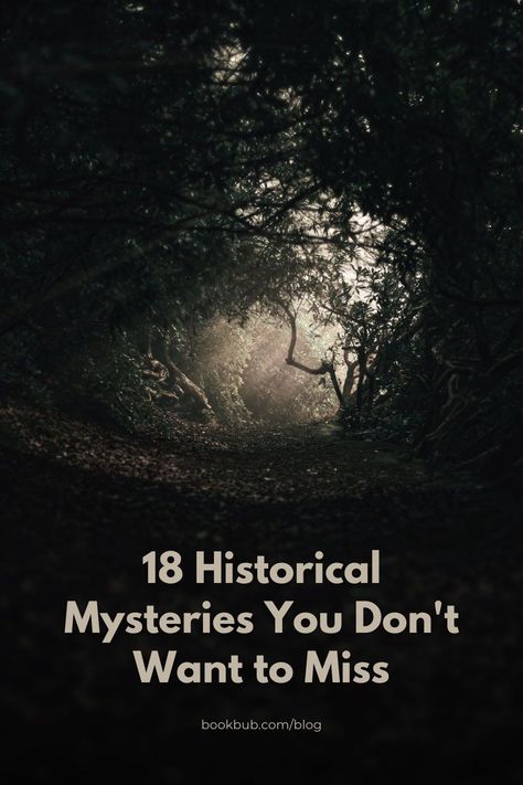 We’ve scouted out the best new mysteries set in various time periods in this reading list that's perfect for both mystery and historical fiction fans. Historical Mystery Books, Time Periods, Historical Fiction Books, The Great Escape, Teen Fiction, Mystery Books, Thriller Books, Mystery Thriller, Interesting Stuff