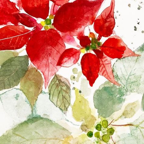 Sue Zipkin on Instagram: “Painting some poinsettias. . . . #suezipkinart #poinsettia #christmasdecor #christmashub #floralwatercolor #floralarthub #artlicensing…” Poinsettia Painting, Watercolor Poinsettia, Painting Hobby, Watercolour Christmas, Instagram Painting, Art Hub, Christmas Card Art, Peacock Art, Watercolor Christmas Cards