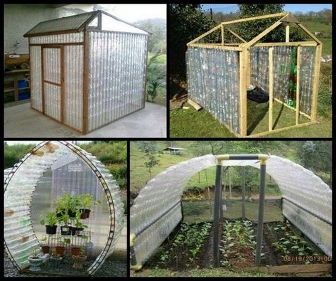 Plastic Bottle Greenhouse, Bottles Diy, Reuse Plastic Bottles, Bottle House, Diy Plastic Bottle, نباتات منزلية, Budget Kitchen, Diy Greenhouse, Front Yard Landscaping Simple