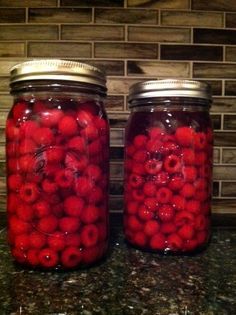 Herbal Liquor, Raspberry Cordial, Pickle Vodka, Seeds Of Change, Cordial Recipe, Canning Ideas, Homemade Liquor, Liquor Recipes, Raspberry Vodka