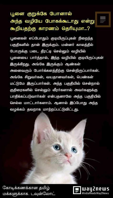 Proverb With Meaning, Small Stories For Kids, Stories With Moral Lessons, Situation Quotes, Inspirational Short Stories, Tamil Motivational Quotes, Moral Stories For Kids, Cute Quotes For Him, Reality Of Life Quotes