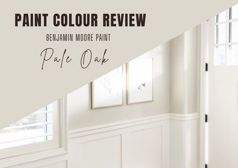 With many different hues each with its own undertones, choosing the perfect neutral paint colour for your home can be overwhelming. Enter Pale Oak by Benjamin Moore! In this article, we explore everything you need to know about Pale Oak, from its LRV and how it looks under different lighting conditi