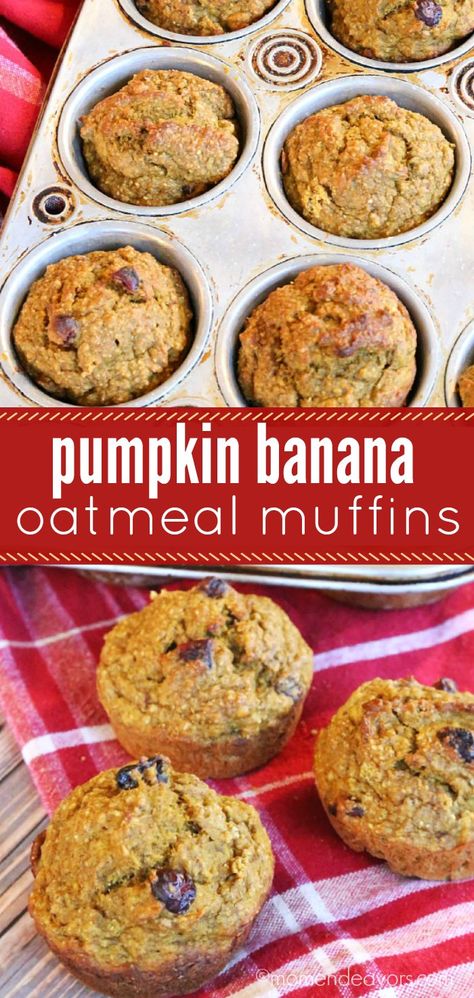 Healthy Pumpkin Banana Oat Muffins, Pumpkin Oatmeal Breakfast Muffins, Banana Pumpkin Oat Muffins, Pumpkin Oatmeal Banana Bread, Healthy Banana Pumpkin Oatmeal Muffins, Pumpkin Banana Zucchini Muffins, Banana Pumpkin Oatmeal Muffins, Pumpkin Banana Oat Muffins, Pumpkin Banana Oatmeal Muffins