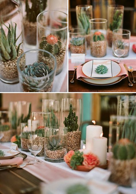 GIVE ME THE SUCCULENTS Cactus Centerpiece, Succulents In Glass, Cactus Wedding, Tafel Decor, Cactus Party, Spanish Wedding, Boda Mexicana, Succulent Wedding, Wedding Decor Inspiration