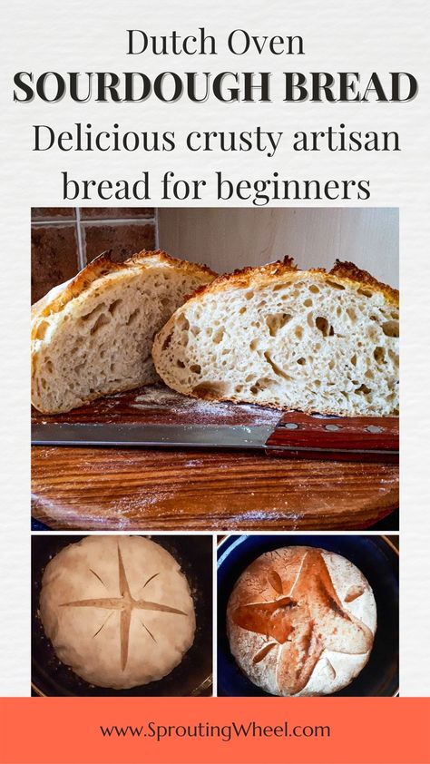 Dutch Oven Sourdough Bread Recipe, Artisan Bread Dutch Oven, Dutch Oven Sourdough Bread, Dutch Oven Sourdough, Bread For Beginners, Artisan Sourdough Bread, Starter Ideas, Sourdough Pizza Dough, Artisan Sourdough