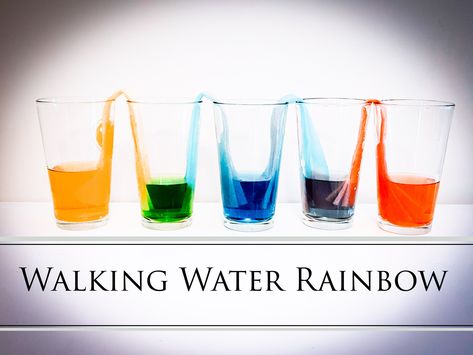 Walking Water Rainbow Experiment for Kids - Momgineering the Future ® Water Rainbow Experiment, R Craft, Rainbow Experiment, Walking Water, Folded Paper Towels, Experiment For Kids, Defying Gravity, Winter Crafts For Kids, Science Experiment