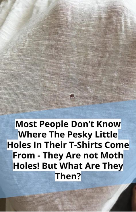 You’ve probably already had them in one of your t-shirts - those annoying little holes around your stomach. How did they get there? Most people blame moths for it. But while those little insects can sometimes be the cause for holes, most of the time it's something completely else! We will tell you the reason - did you see it coming? #little #holes #t-shirt #washing #clothing #insect #moth #mystery #angry #textile #shirt #hygene #question #lifehack Moth Holes In Clothes, Holes In Clothes, Small Moths, Lifestyle Hack, Helpful Hints, See It, Moth, Insects, Things To Come