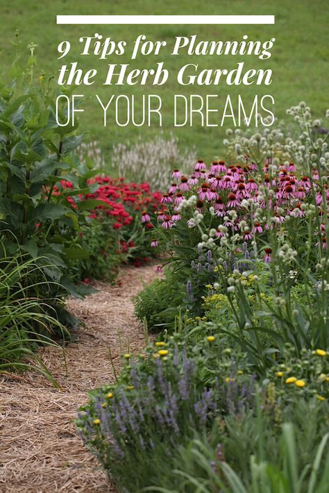 9 Tips For Planning the Herb Garden of Your Dreams | Chestnut School Outdoor Herb Garden, Medicinal Herbs Garden, Types Of Herbs, Herb Gardens, Herb Garden Design, Witch Garden, Chelsea Flower Show, Growing Herbs, Edible Garden