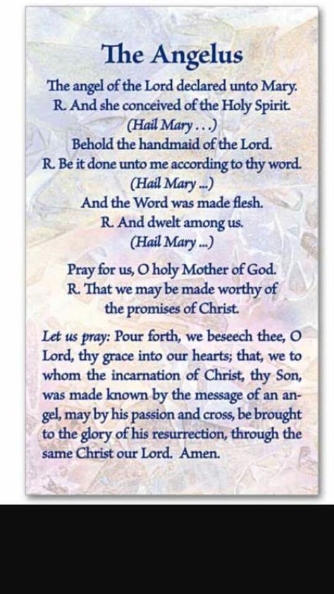 Angelus Prayer, Rosary Prayers Catholic, The Angelus, Catholic Prayers Daily, Archangel Prayers, Catholic Beliefs, Apostles Creed, Miracle Prayer, Special Prayers