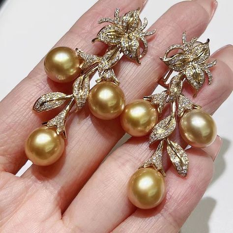 South Sea Pearls Earrings, Golden South Sea Pearls, Pearls Earrings, Sea Pearl, Pearl Jewellery Earrings, South Seas, South Sea Pearls, Sea Pearls, Tahiti