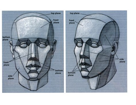 Planes Of The Face, Plane Drawing, Face Anatomy, 얼굴 그리기, Drawing Heads, Anatomy Drawing, Figure Drawing Reference, Color Pencil Drawing, Anatomy Art