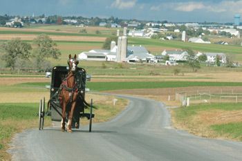 Amish Country Pennsylvania, Amish Pennsylvania, Pennsylvania Dutch Country, Amish Culture, Amish Farm, Lancaster County Pa, Family Oriented, Amish Community, Fall Getaways