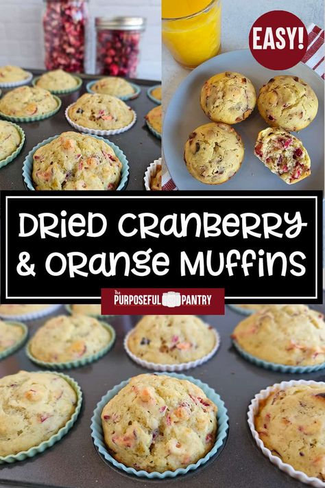 Savor the perfect mix of sweet and citrus in my easy-to-make dried cranberry and orange muffins. A purposeful twist on a classic, these moist and flavorful treats are ideal for breakfast or snacking. Try this simple recipe for a burst of homemade goodness in every bite, straight from your pantry! Dried Cranberry Muffins, Double Chocolate Zucchini Muffins, Easy Breakfast Treats, Dried Cranberry, Cranberry Orange Muffins, Orange Muffins, Cranberry Muffins, Filled Muffins, Chocolate Zucchini